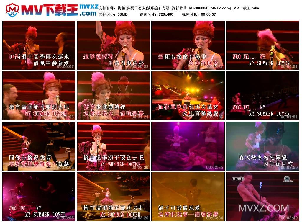 梅艳芳-夏日恋人(演唱会)_粤语_流行歌曲_MA306004